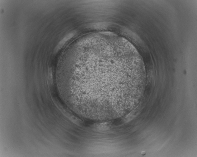 X0000072550120200607281658