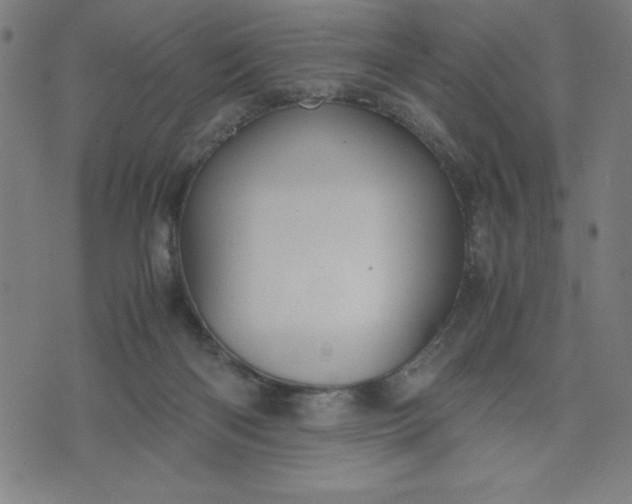 X0000072550122200607281658