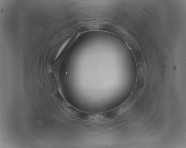 X0000072550125200607281658