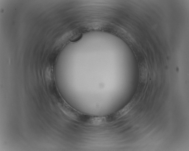 X0000072550126200607281658