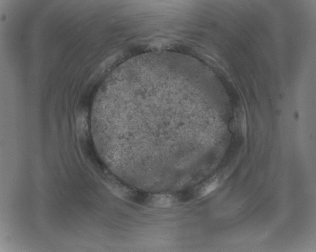 X0000072550127200607281658