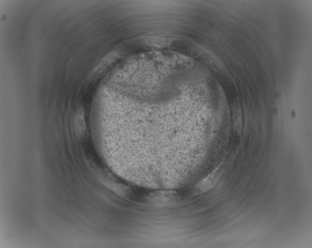 X0000072550128200607281658