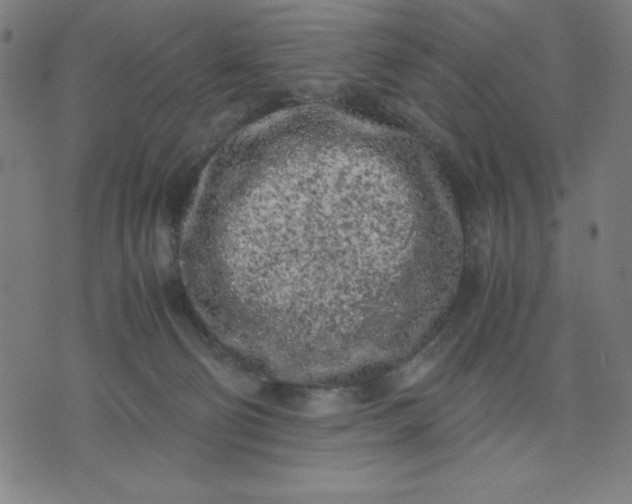 X0000072550130200607281658