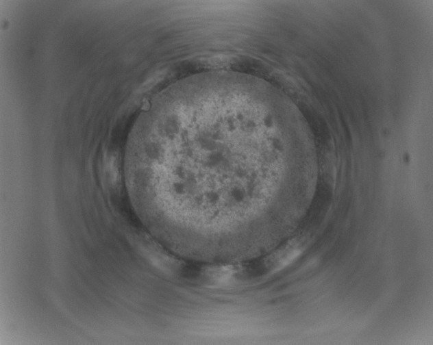 X0000072550131200607281658