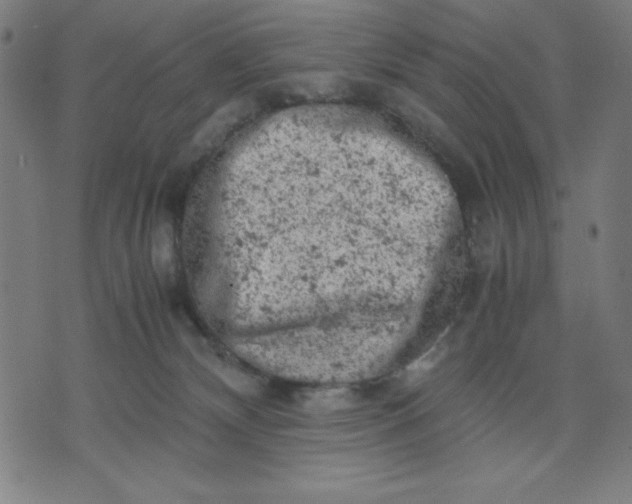 X0000072550132200607281658