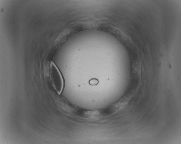 X0000072550133200607281658