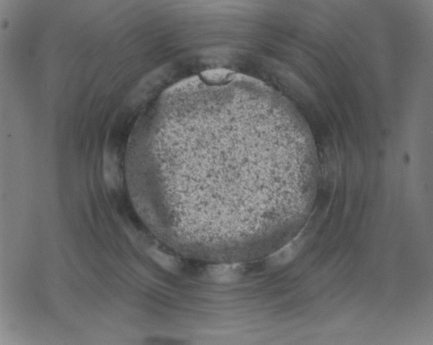 X0000072550136200607281658