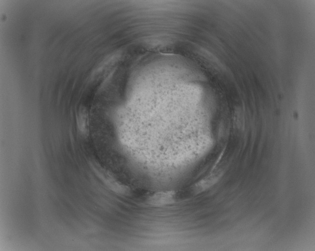 X0000072550138200607281658