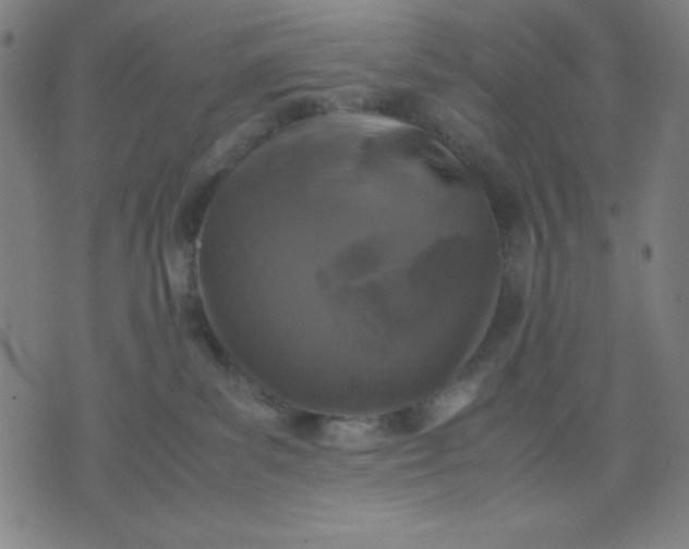 X0000072550139200607281658