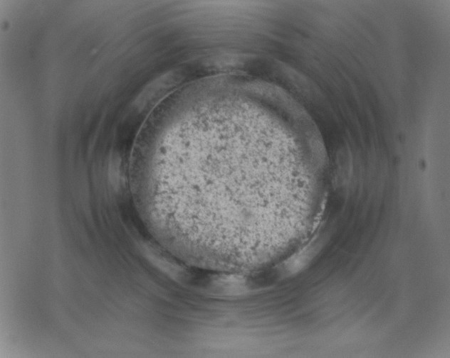 X0000072550140200607281658