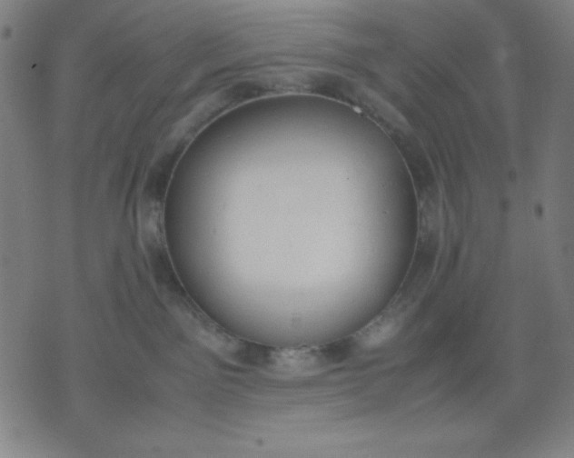 X0000072550141200607281658