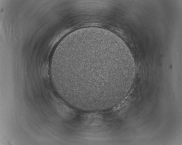 X0000072550146200607281657