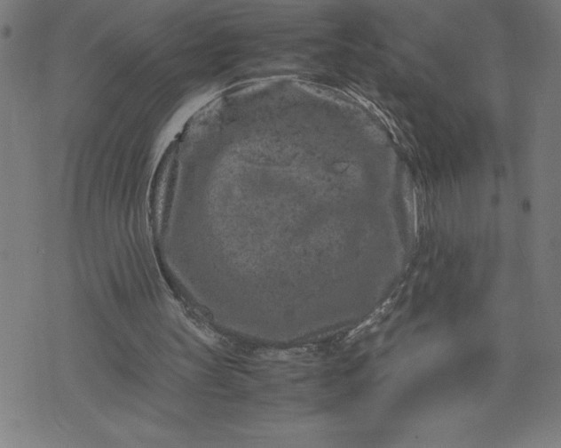 X0000072550147200607281657