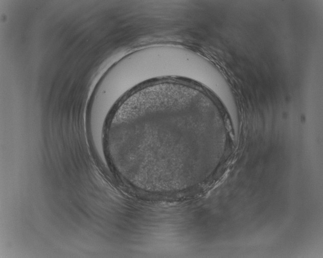 X0000072550148200607281657