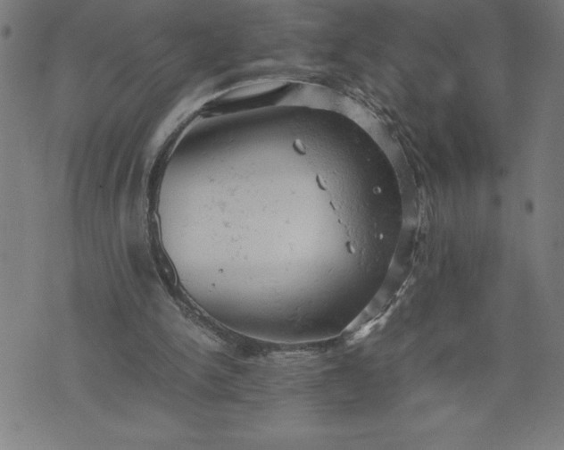 X0000072550150200607281657