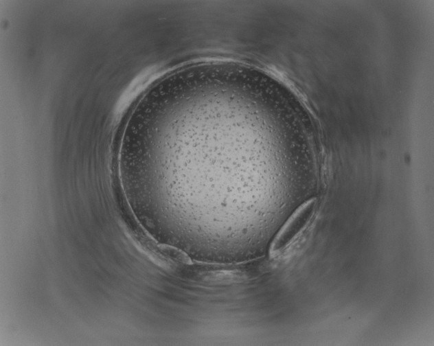 X0000072550151200607281657