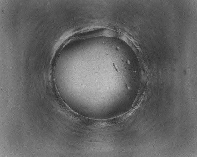 X0000072550152200607281657