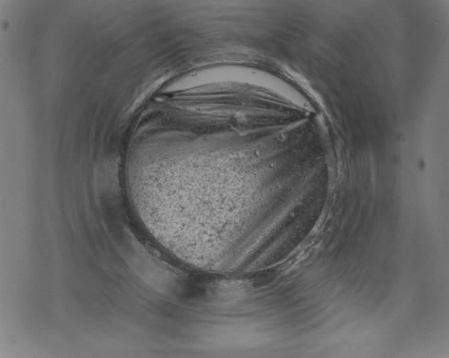 X0000072550154200607281657