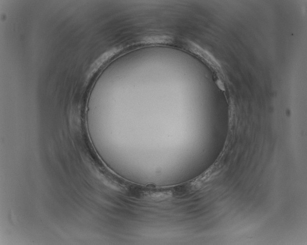 X0000072550155200607281657