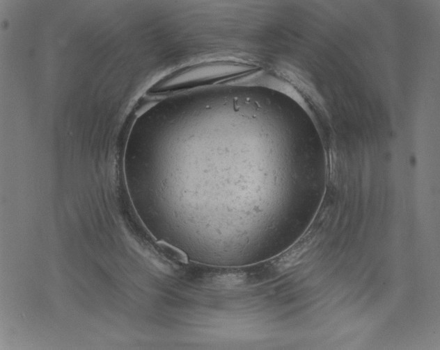 X0000072550156200607281657