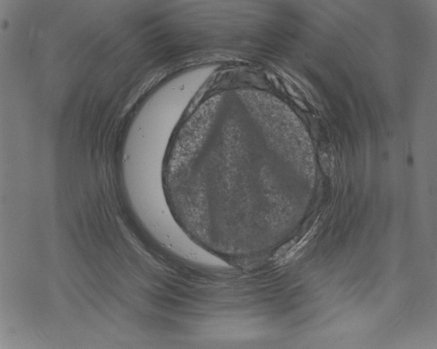 X0000072550158200607281657