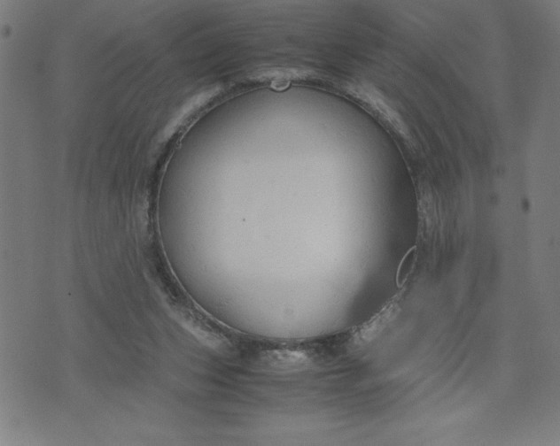 X0000072550159200607281657