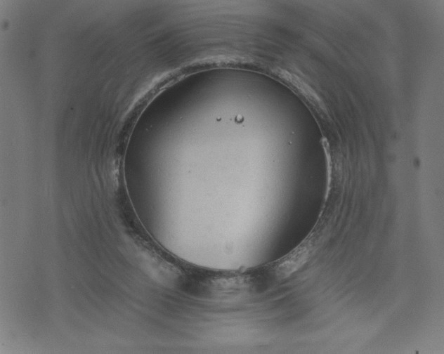 X0000072550160200607281657