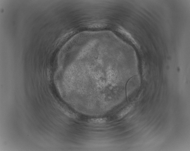 X0000072550161200607281657