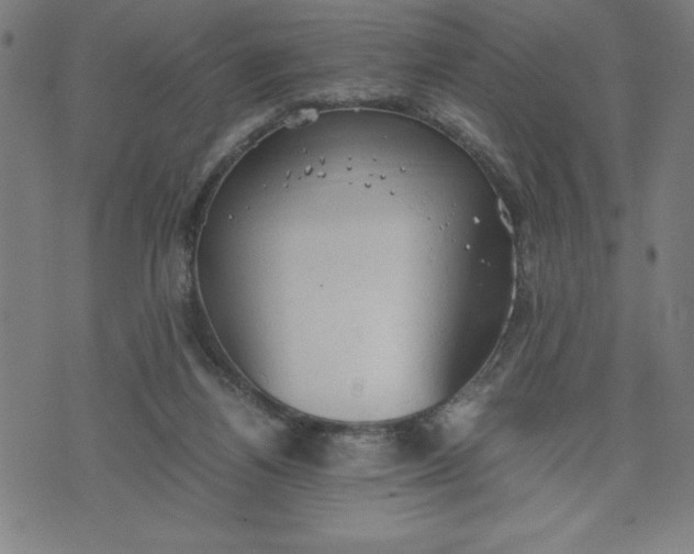 X0000072550164200607281657