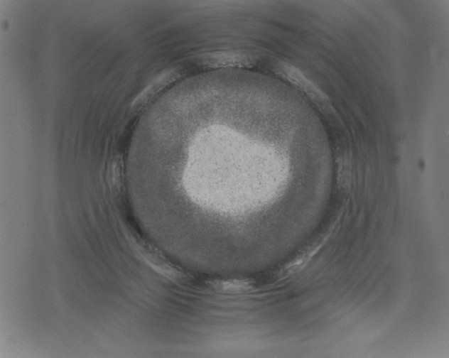 X0000072550165200607281657