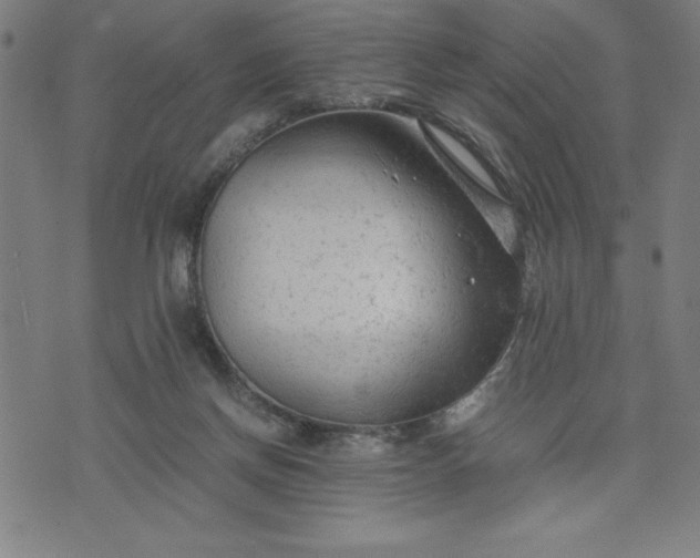 X0000072550166200607281657