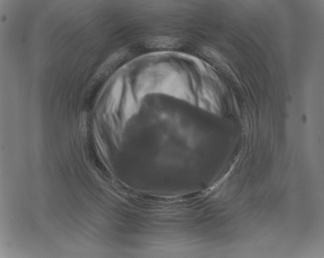 X0000072550167200607281657