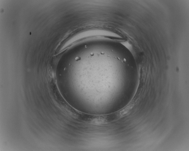 X0000072550168200607281657