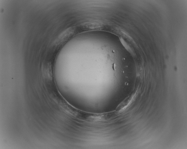 X0000072550170200607281657