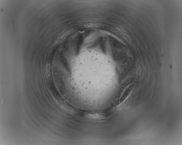 X0000072550171200607281657