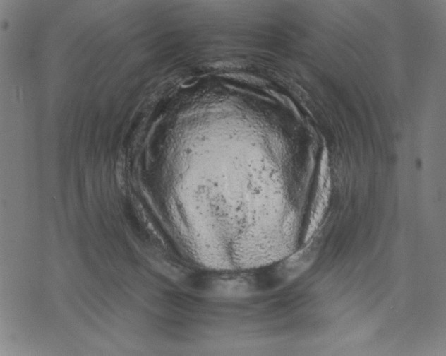 X0000072550175200607281657