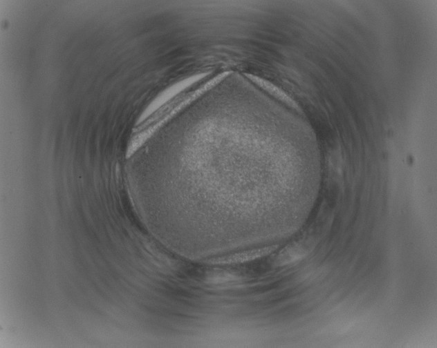 X0000072550177200607281657