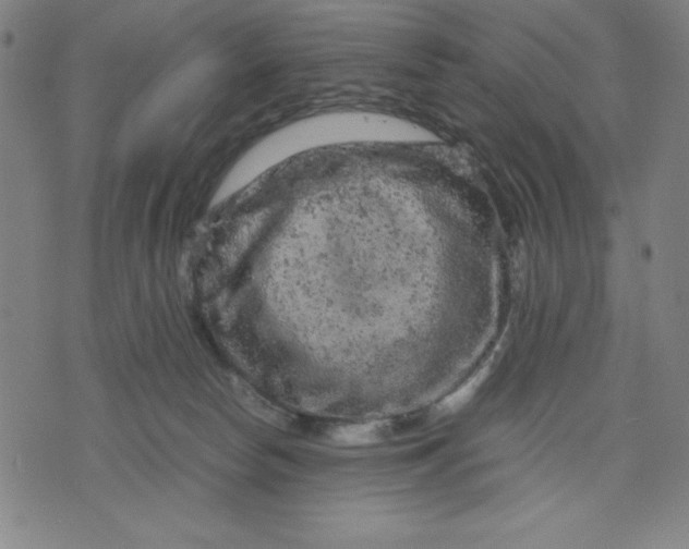 X0000072550178200607281658