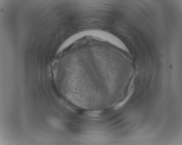 X0000072550182200607281658