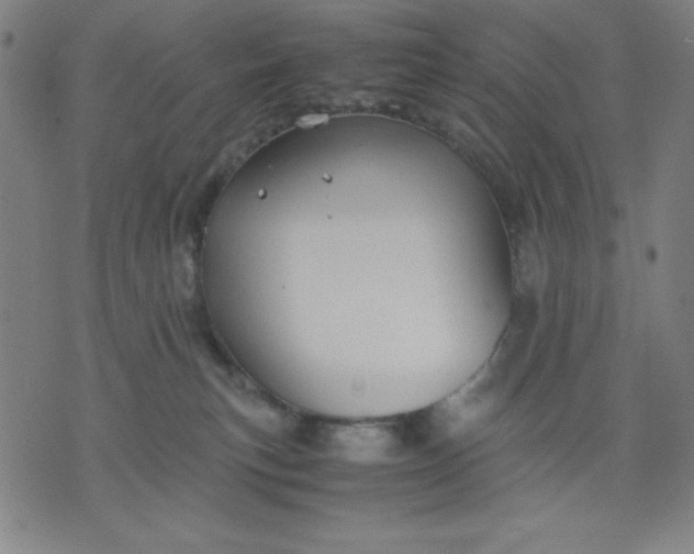 X0000072550183200607281658