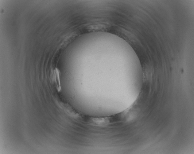 X0000072550187200607281658