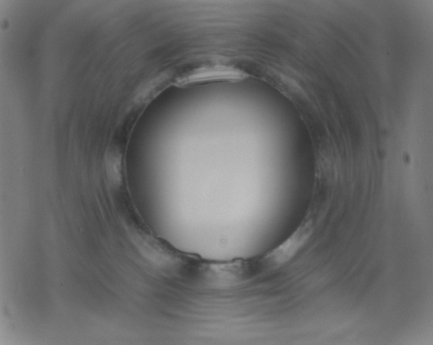 X0000072550188200607281658