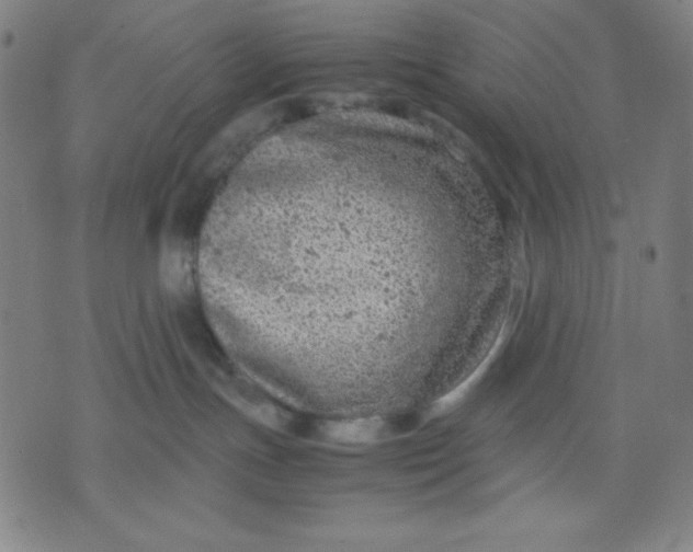 X0000072550191200607281658