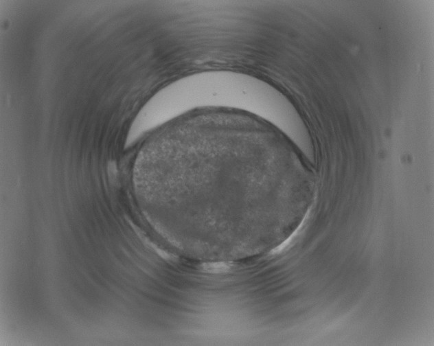 X0000072550192200607281658