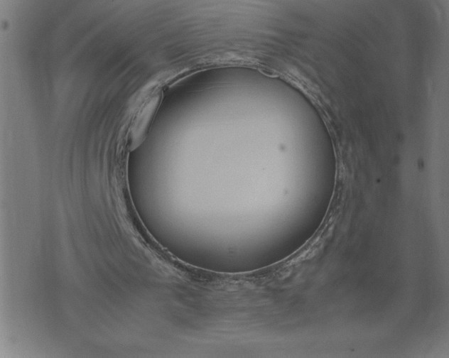 X0000072550193200607281657