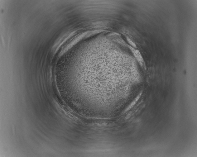 X0000072550194200607281657