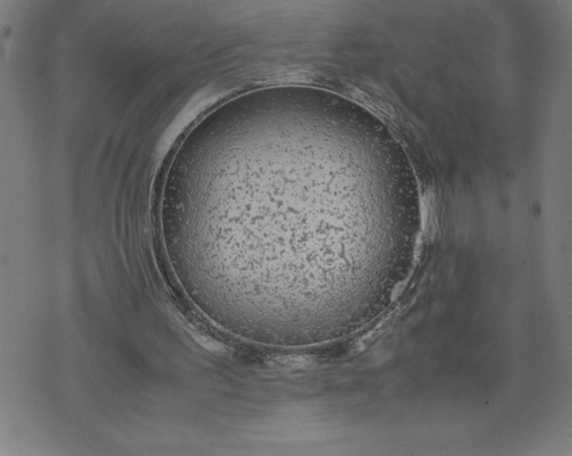 X0000072550195200607281657