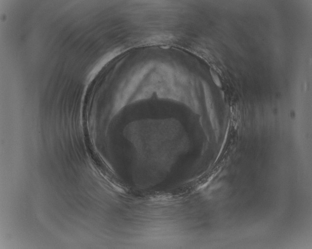 X0000072550196200607281657