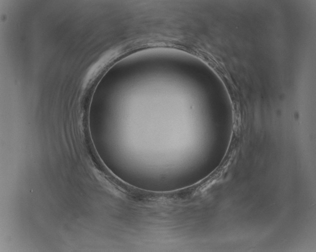 X0000072550197200607281657