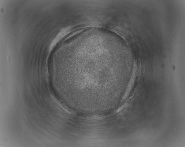 X0000072550198200607281657